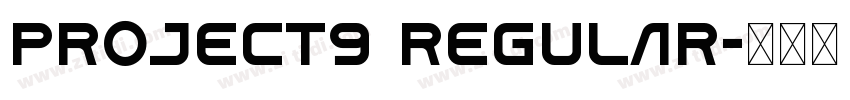 project9 regular字体转换